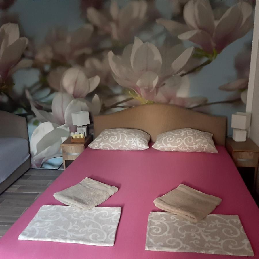Apartmán vicky 1 Kotor Exteriér fotografie