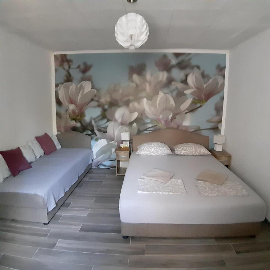 Apartmán vicky 1 Kotor Exteriér fotografie