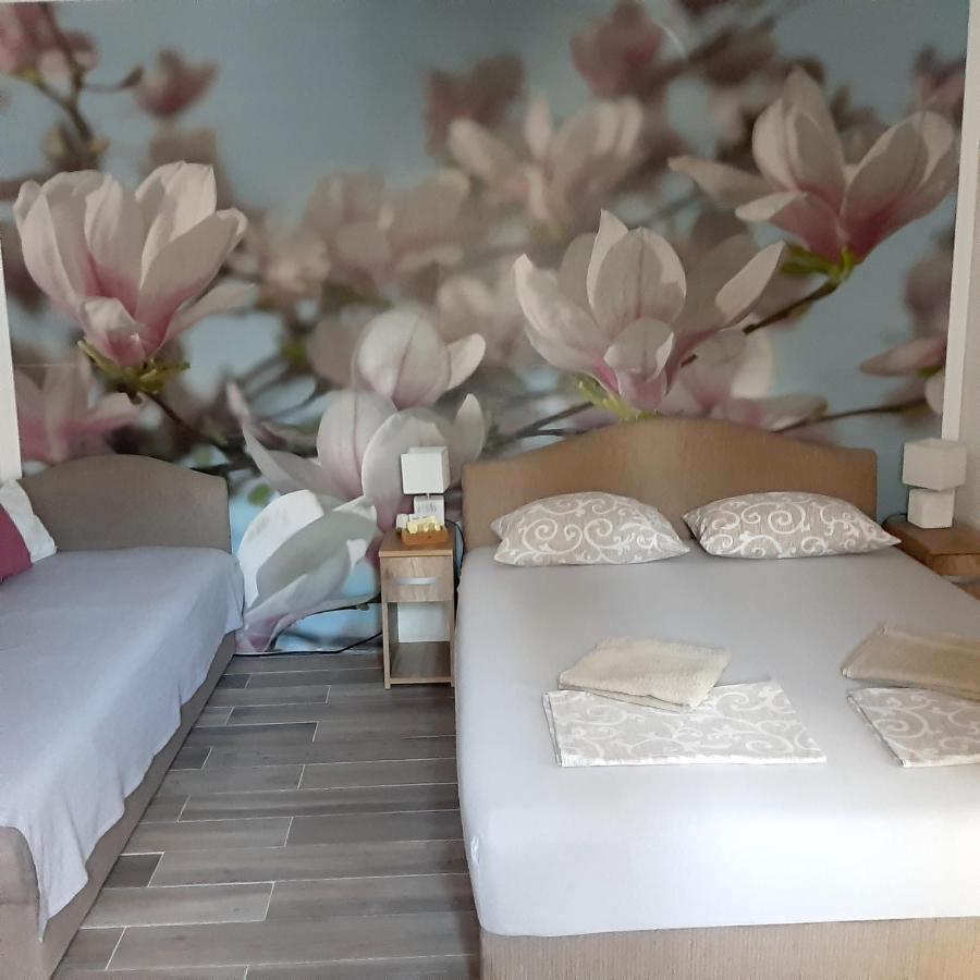 Apartmán vicky 1 Kotor Exteriér fotografie