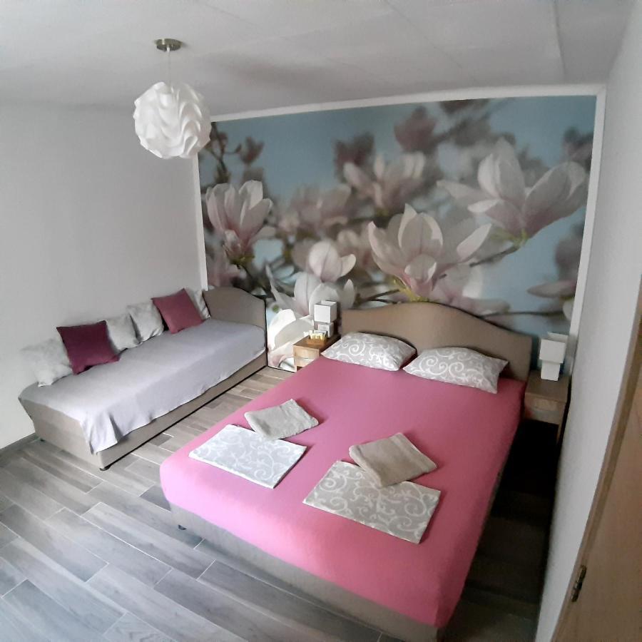 Apartmán vicky 1 Kotor Exteriér fotografie