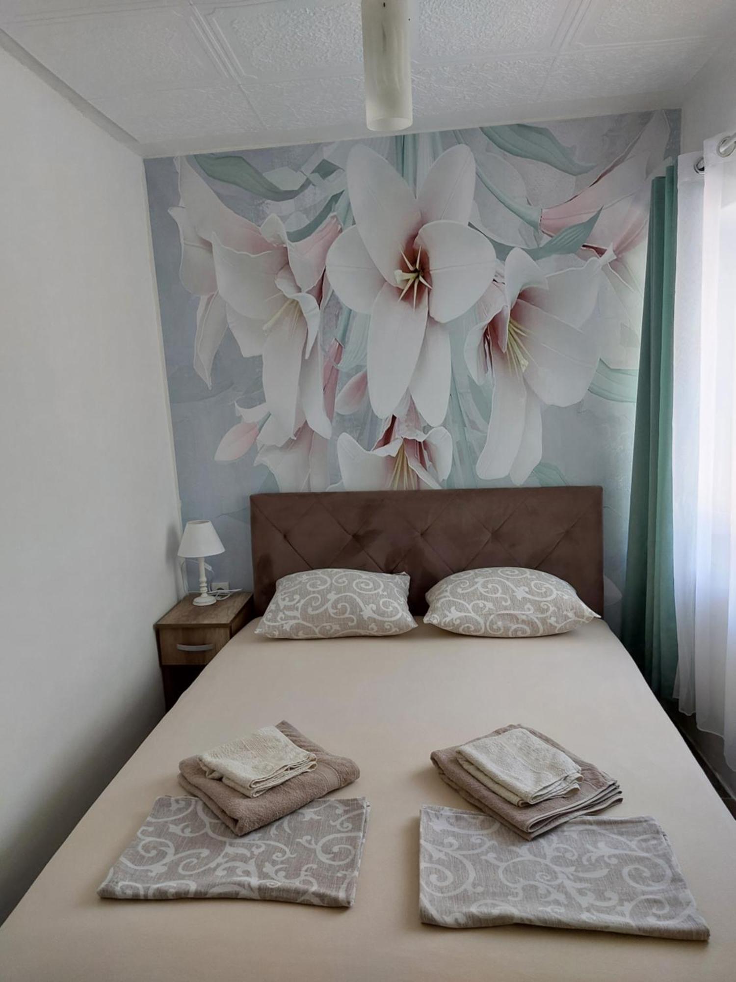 Apartmán vicky 1 Kotor Exteriér fotografie
