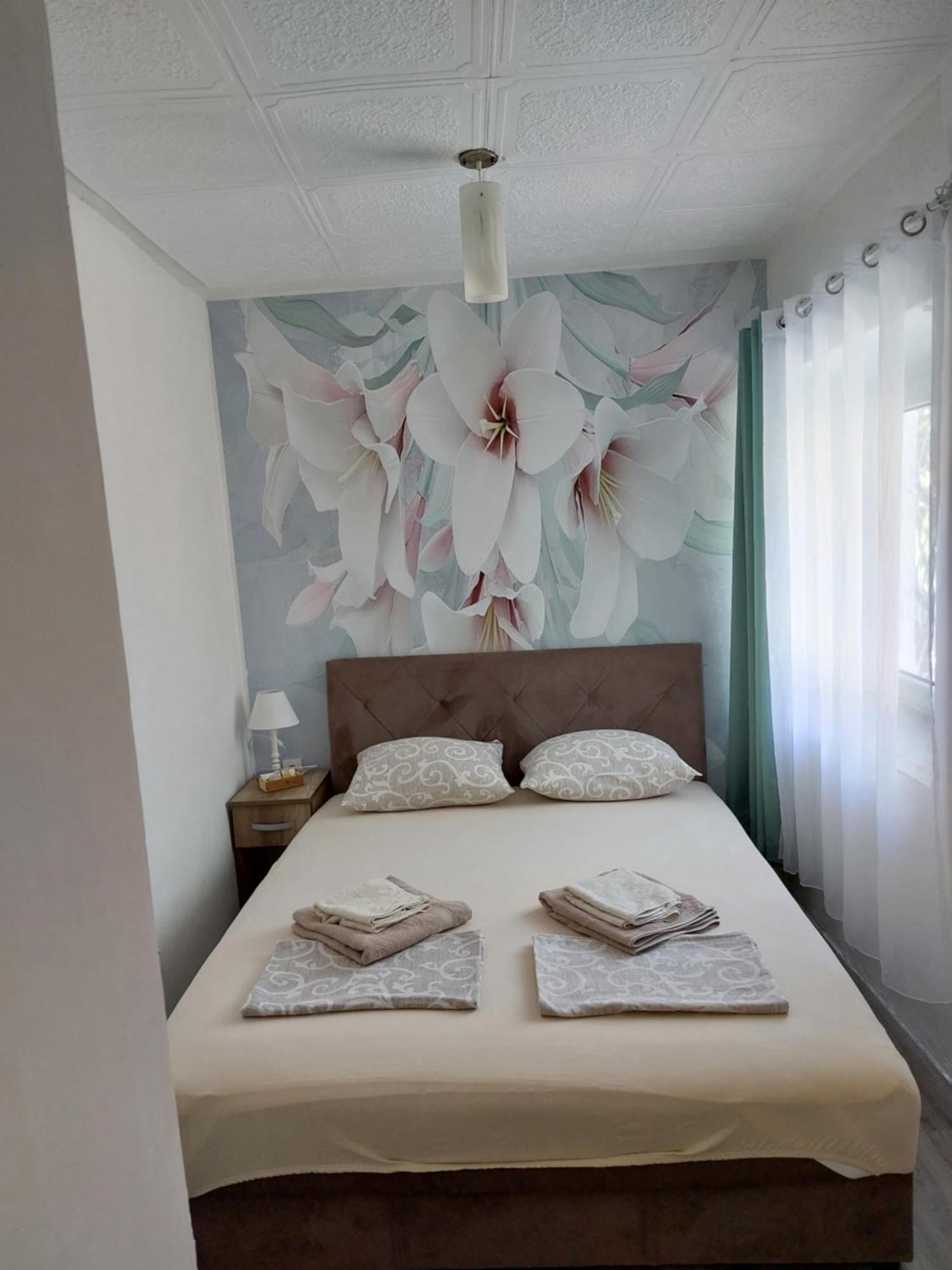 Apartmán vicky 1 Kotor Exteriér fotografie